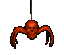 :spider